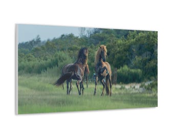 Pony Canvas - Assateague Island Wild Stallions | Photography Wall Art