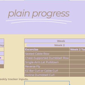 Könnte beinhalten: Ein digitaler Workout-Tracker mit einem hellvioletten Header mit der Aufschrift „plain progress“. Der Tracker enthält Abschnitte für Makronährstoffberechnungen und Trainingsverfolgung mit Feldern für Gewicht, Größe, Alter und Schritte pro Tag.