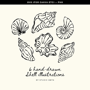 May include: Black and white hand-drawn illustrations of six different seashells. The image includes text that reads "6 hand-drawn shell illustrations" and "BY STUDIO GWYN". The shells are in various shapes and sizes, perfect for coastal-themed designs.