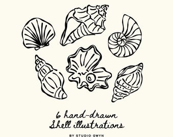 Hand Drawn Shell Clipart Bundle SVG PNG: Whimsical Seashell & Costal Illustrations for Wedding or Birthday Invitations + print projects