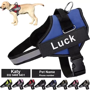 Puede incluir: Arnés para perros azul y negro con el nombre "Luck" en blanco. El arnés tiene una tira reflectante y una anilla en D de metal. Se muestran arneses adicionales en varios colores a continuación. Un perro con un arnés rojo con el nombre "Jane" está en el fondo.