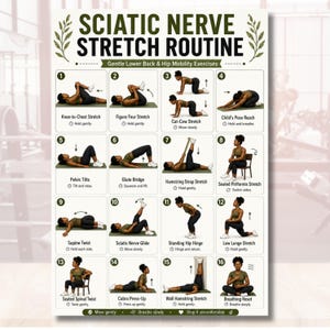Könnte beinhalten: Ein weißes Lehrplakat mit dem Titel Sciatic Nerve Stretch Routine, das sechzehn nummerierte Illustrationen einer Person zeigt, die verschiedene Mobilitätsübungen für den unteren Rücken und die Hüften ausführt, inklusive Textbeschriftungen.