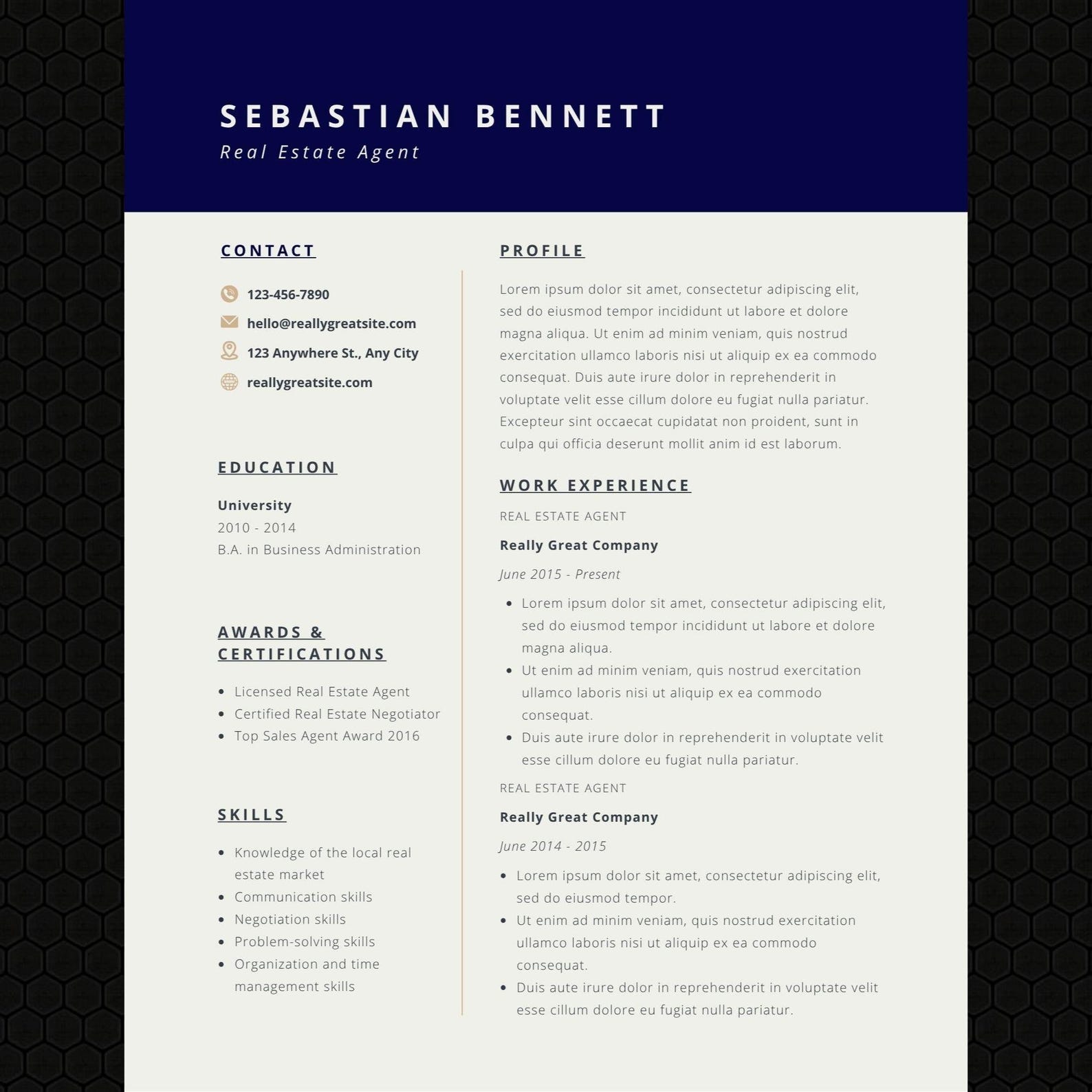 RESUME TEMPLATE, Professional Minimalist One Page CV, Modern Business ...