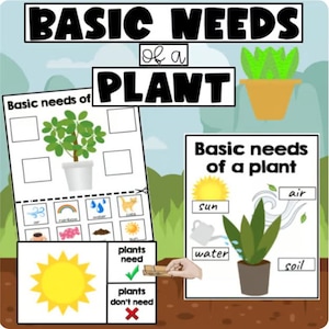 Może przedstawiać: Plakat edukacyjny zatytułowany „PODSTAWOWE POTRZEBY ROŚLINY”. Obraz zawiera ilustracje rośliny, słońca, wody, powietrza i gleby. Plakat zawiera również sekcję dotyczącą potrzeb roślin i tego, czego nie potrzebują.