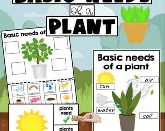 Basic Needs of a Plant - Special Education Science - What Plants Need to Survive