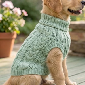Puede incluir: Un cachorro golden retriever con un suéter de punto trenzado verde claro con cuello alto. El perro está sentado en una terraza de madera, con un fondo borroso de plantas y una pared de piedra. El suéter tiene un diseño texturizado.