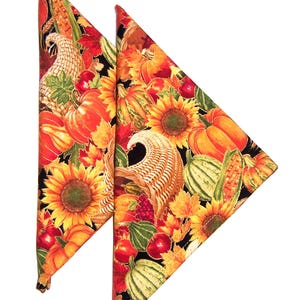 Autumn Cloth Napkins - Set of 2