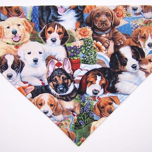Large Breed Dog Scarves