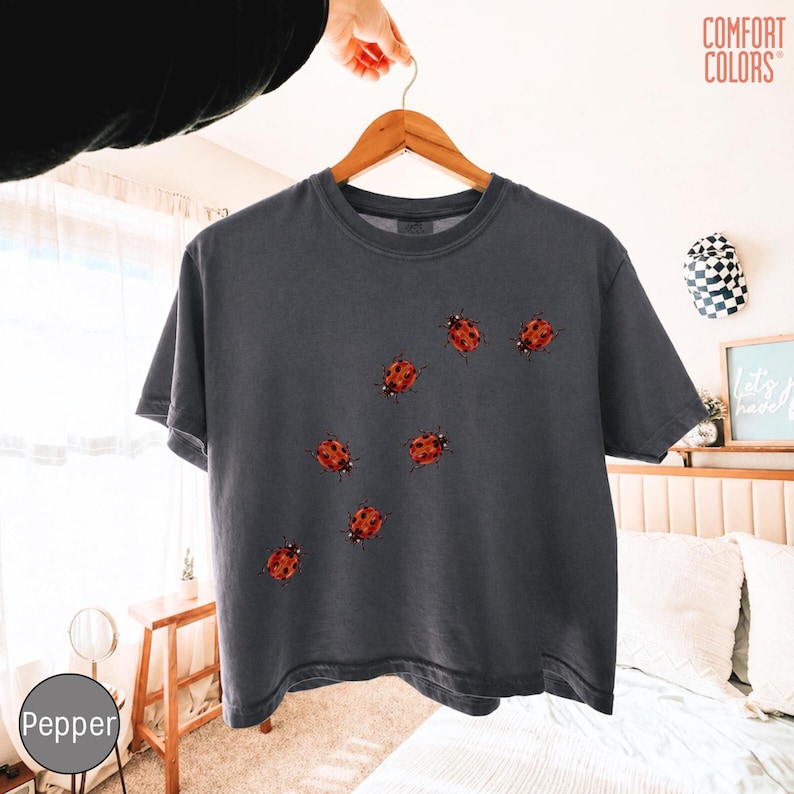 May include: A charcoal gray short-sleeve t-shirt featuring a scattered pattern of red and black ladybug illustrations across the front. The shirt has a crew neckline and is displayed on a wooden hanger against a light-colored background.