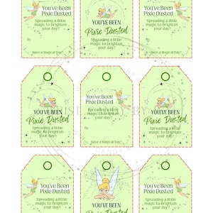 以下が含まれることがあります： 妖精のイラストと「You've Been Pixie Dusted」の文字が入った、薄緑色のギフトタグ9枚のシート。各タグには点線で囲まれた縁、上部に穴、そして「Have a Magical Day!!」というフレーズがあります。