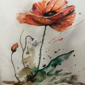 Watercolor poppy image 1