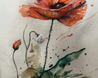 Watercolor poppy