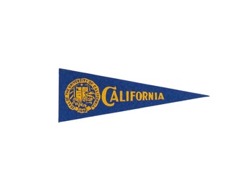 drapeau en feutre vintage de l'Université de Californie