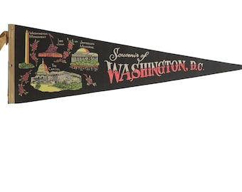 Vintage Souvenir of Washington, D.C. Felt Flag Pennant