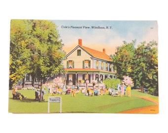 Vintage Cole's Pleasant View Windham NY Postcard