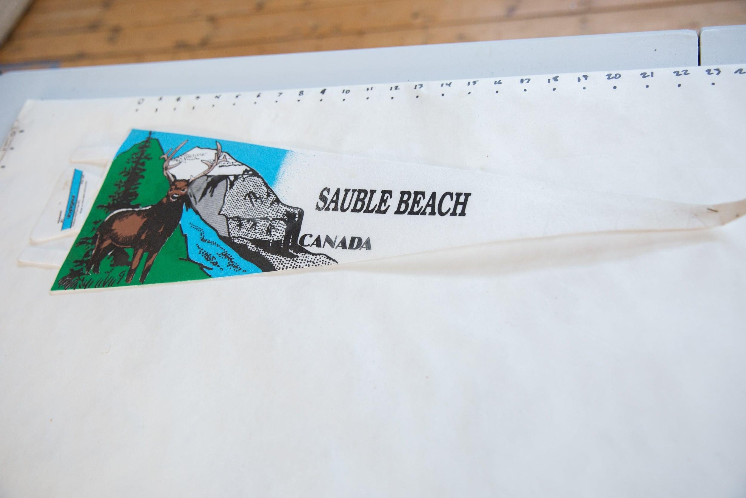 Sauble Beach Felt Flag Pennant - Etsy Canada