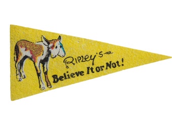 Vintage Ripley&#39;s Believe it or Not Mini Flag Pennant