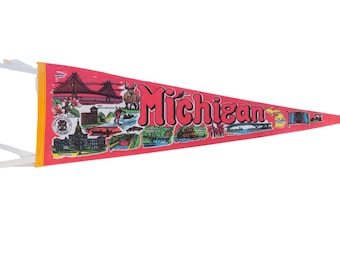 Michigan Felt Flag Pennant