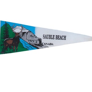 Sauble Beach Felt Flag Pennant