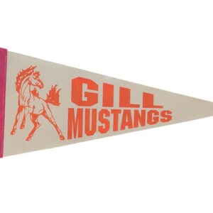 Gagliardetto con bandiera in feltro Gill Mustangs
