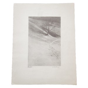 May include: A black and white photograph of a lone tree in a snowy field. The tree is in the center of the image and is surrounded by a path that leads to the top of the hill.