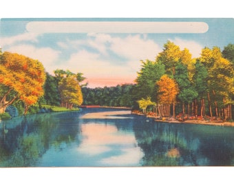 Vintage Catskills NY Postcard Trees and Lake