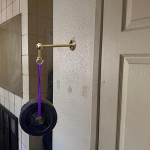 Puede incluir: Un soporte de pared de color latón con una correa morada que sostiene una placa de peso negra. La placa de peso es redonda y tiene un agujero en el centro. El soporte está fijado a una pared blanca.