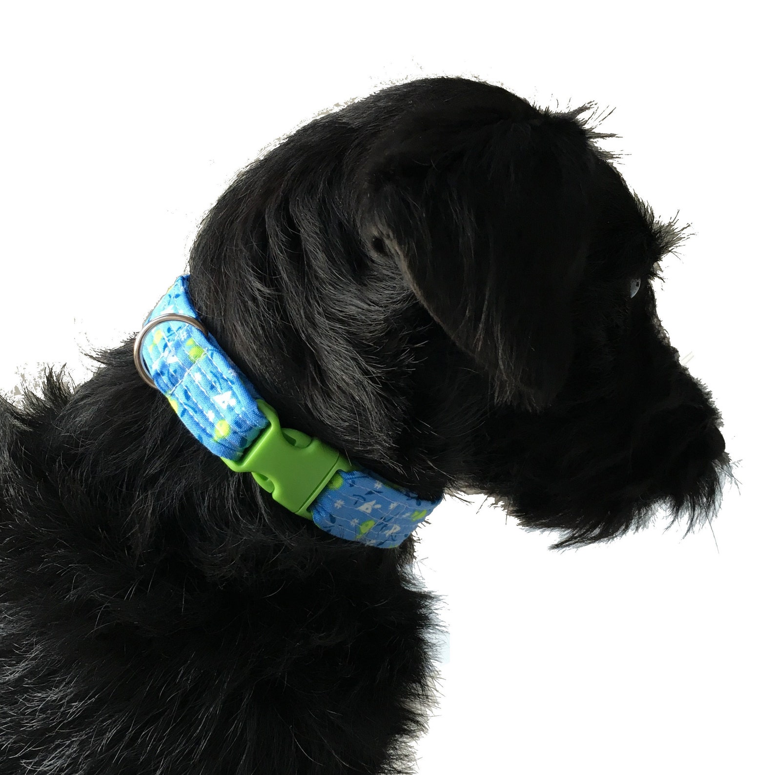 Dog Collar Sewing Pattern DIY Tutorial to Make a Cute Trendy Etsy