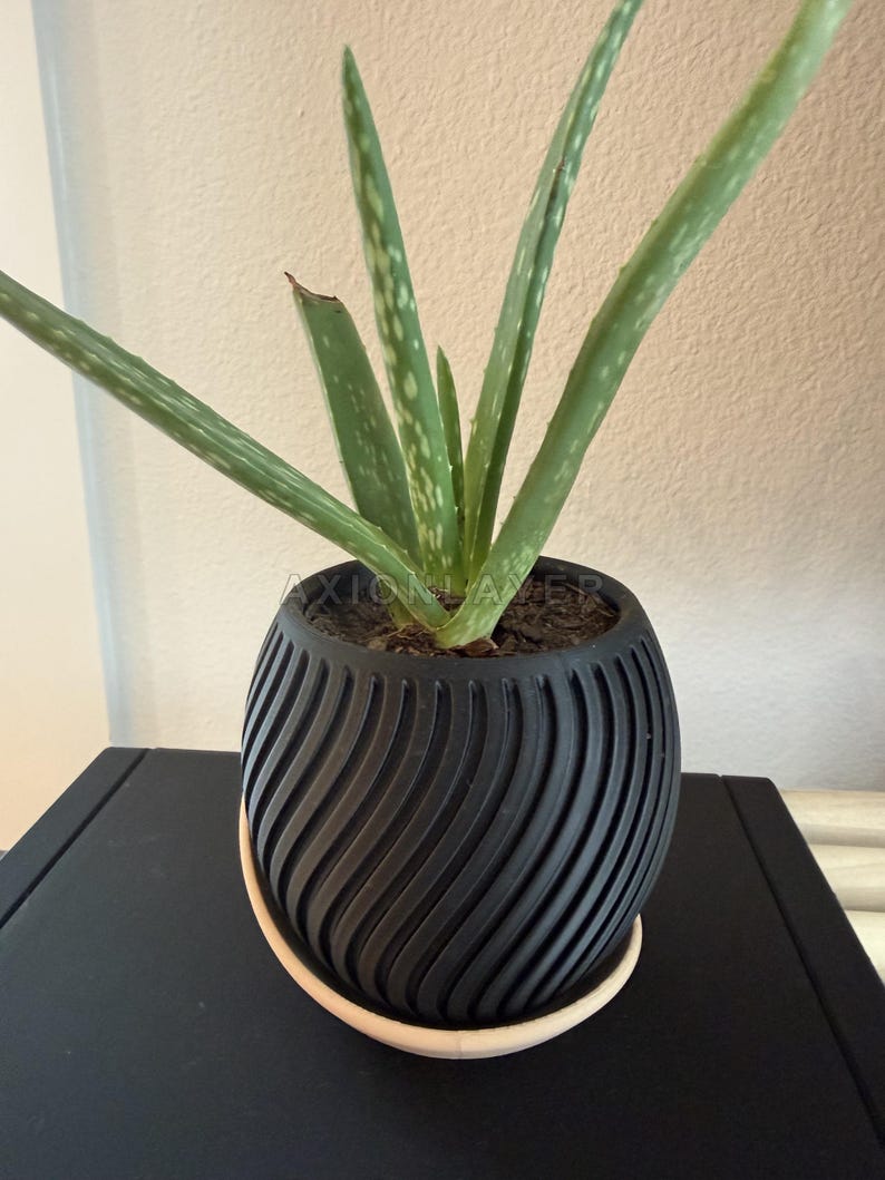 May include: An aloe vera plant with long, pointed, green leaves featuring white spots, potted in a round, matte black planter with a textured, spiraling ribbed pattern and a light-coloured circular base tray. The text AXION LAYER is visible.