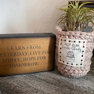 Not Slim - Kinda Shady - Plant Cozy