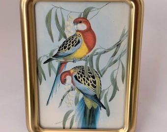 SOLID BRASS Hand Polished Lacquer Coated Picture Frame 3.5x5 Tarnish Resistant | Made in Korea | Parrot | Velvet Easel Back