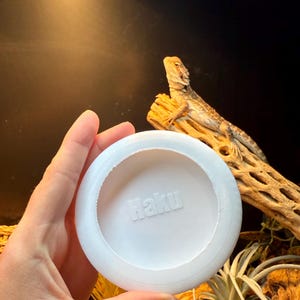 Personalized Reptile Dish — Bug Safe Design (Medium)