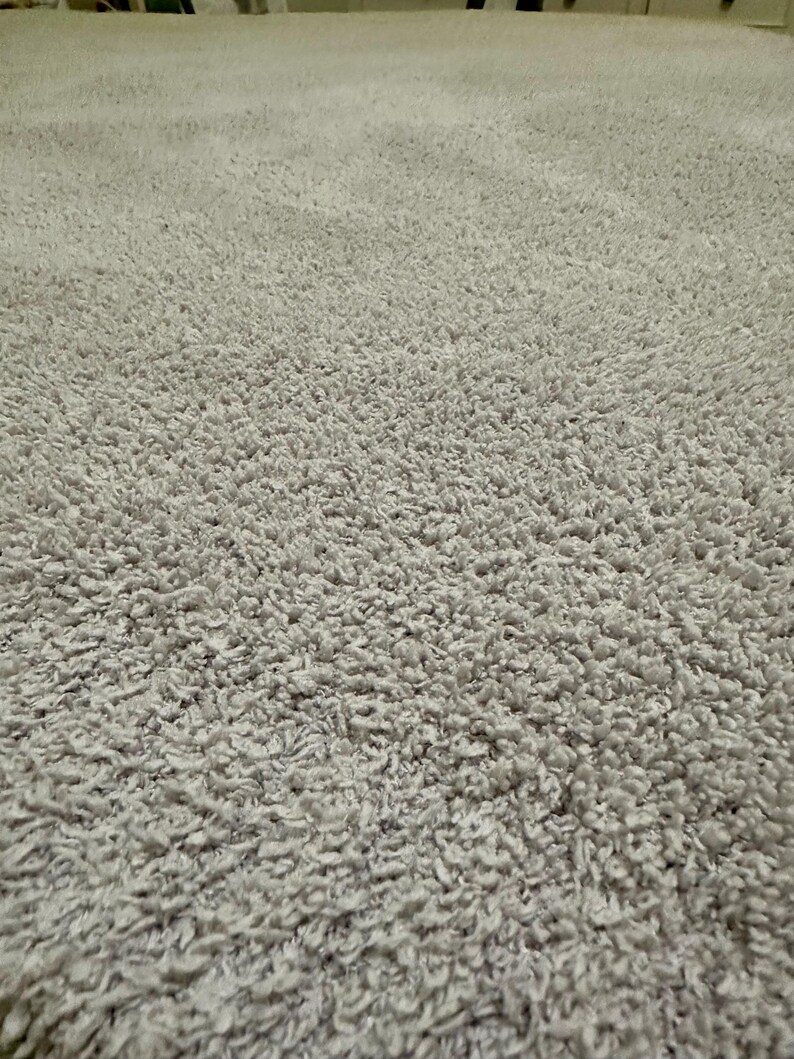 Pu&ograve; includere: Un tappeto grigio chiaro caratterizzato da una texture densa e a pelo lungo. La superficie &egrave; composta da numerosi piccoli anelli di filato ritorto che creano un aspetto morbido e irregolare su tutta l'estensione del materiale.