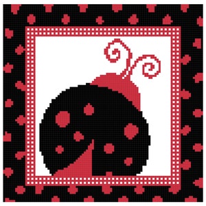 May include: A black and red ladybug with white polka dots is framed in a red and white checkered border. The background is black with red polka dots.