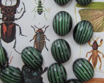 6 Vintage German  "Beetle Back"  Cabochons..Art Imitating Nature?