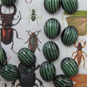 6 Vintage German  "Beetle Back"  Cabochons..Art Imitating Nature?