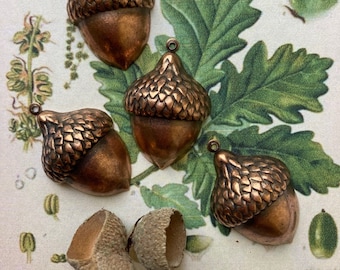 May include: Four copper acorn charms with a textured surface. The charms are on a white background with a botanical illustration.