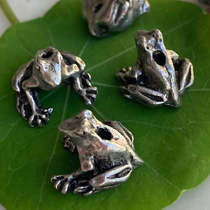 May include: A selection of small, silver-coloured frog figurines and earrings. The frogs have detailed, textured surfaces and are arranged on a large, green leaf. The earrings feature a frog charm suspended from a hook. The theme is nature and whimsy.