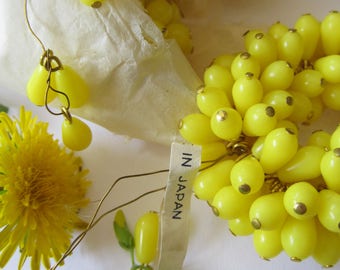35 Vintage Dandelion Yellow  Japanese Drop... With thier sunny charm