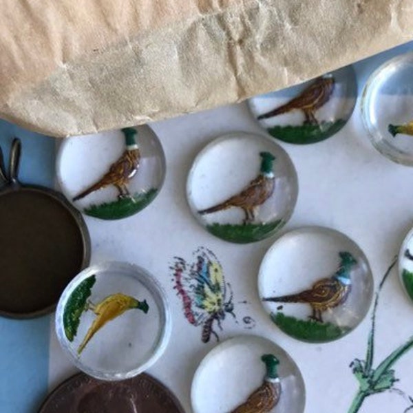 12 Vintage Glass Pheasant  Cabochon Made In Western German