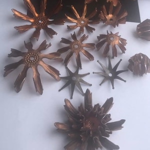 May include: A collection of 12 copper-colored metal flower embellishments. The embellishments are in various shapes and sizes, with some having a more intricate design than others. The embellishments are arranged on a white surface.