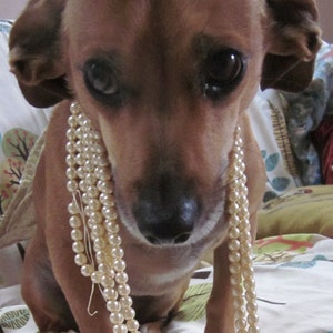 Beautiful Classic Old Fashion Glass Pearls...almost anyone could wear image 1