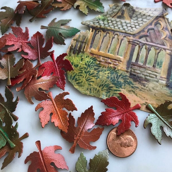 6 Vintage  Maple Leaves Findings In New England Fall  Colors