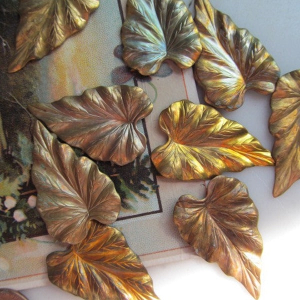 Vintage Pointed Caladiums Leaves