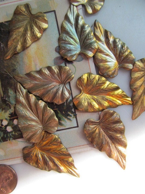 Vintage Pointed Caladiums Leaves