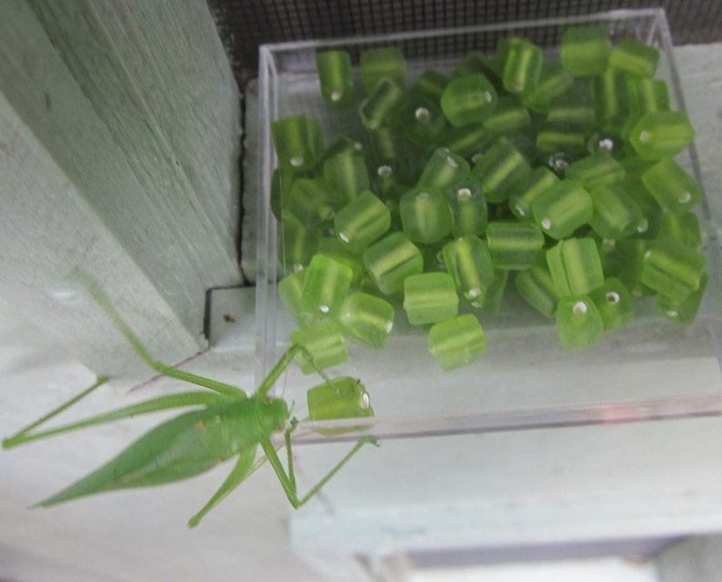 Cricket Green Glass Beads Etsy