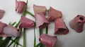 8 Rosy Pink  Metal Tulip Flowers