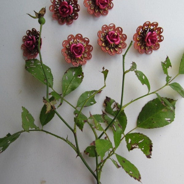Vintage Combination Flowery Finding