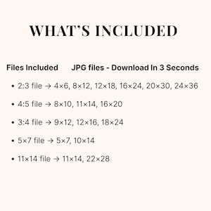 What's Included graphic listing all file ratios and sizes on a white background