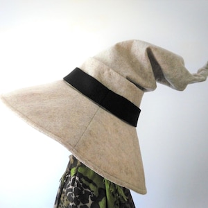 Witch Hat/Wizard Hat/Mage/Sorcerer/Warlock/Halloween/Wide Brim/ Pointy Felt Hat / WH-5